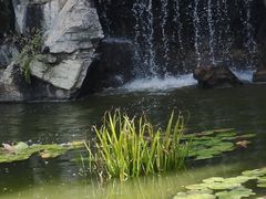 -国家植物园南园