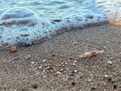 -兴城海滨风景区