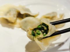 鲜肉豌豆尖饺-眉州东坡(远洋未来广场店)