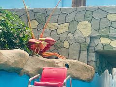 -合肥融创水世界