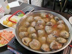 特大紫边贝-拾下卜卜贝•海鲜火锅