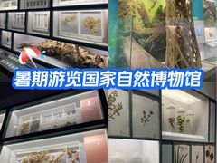 -国家自然博物馆