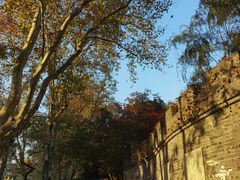 -静安公园(静安寺街道)