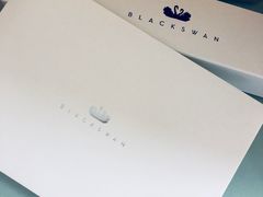-BLACKSWAN黑天鹅(环球店)