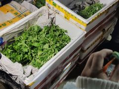 -何庄子阿米玛玛农产品批发市场