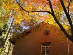 -艾溪湖湿地公园