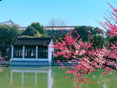 -红梅公园