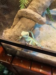 -酷嗒动物文化乐园(cutezoo西溪乐天城店)