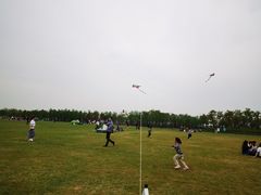 -春花秋色城市公园