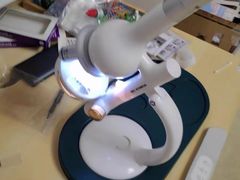 -TOYSRUS玩具反斗城(深圳万象城店)