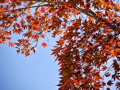 -中国湖笔博物馆(莲花庄路)