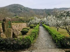 -白马涧龙池景区