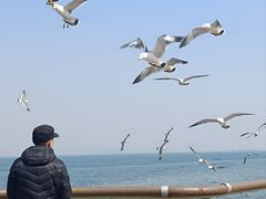 -东港音乐喷泉广场