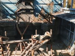 -北京海洋馆