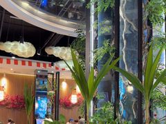 -龙泉人椰子鸡(龙昆南店)