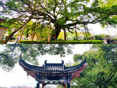 -桂林市榕杉湖景区
