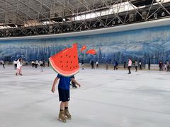 -世界之窗阿尔卑斯冰雪世界
