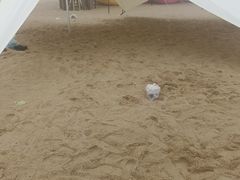 -那香海钻石沙滩浴场