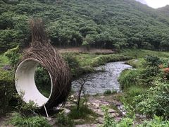 -大围山国家森林公园