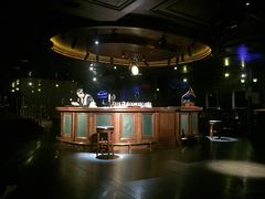 -武汉知音号