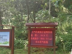 -牛背梁国家森林公园