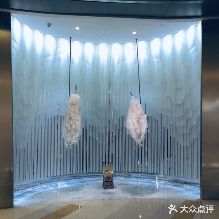 孔雀｜拥有tiffany蓝的川菜馆