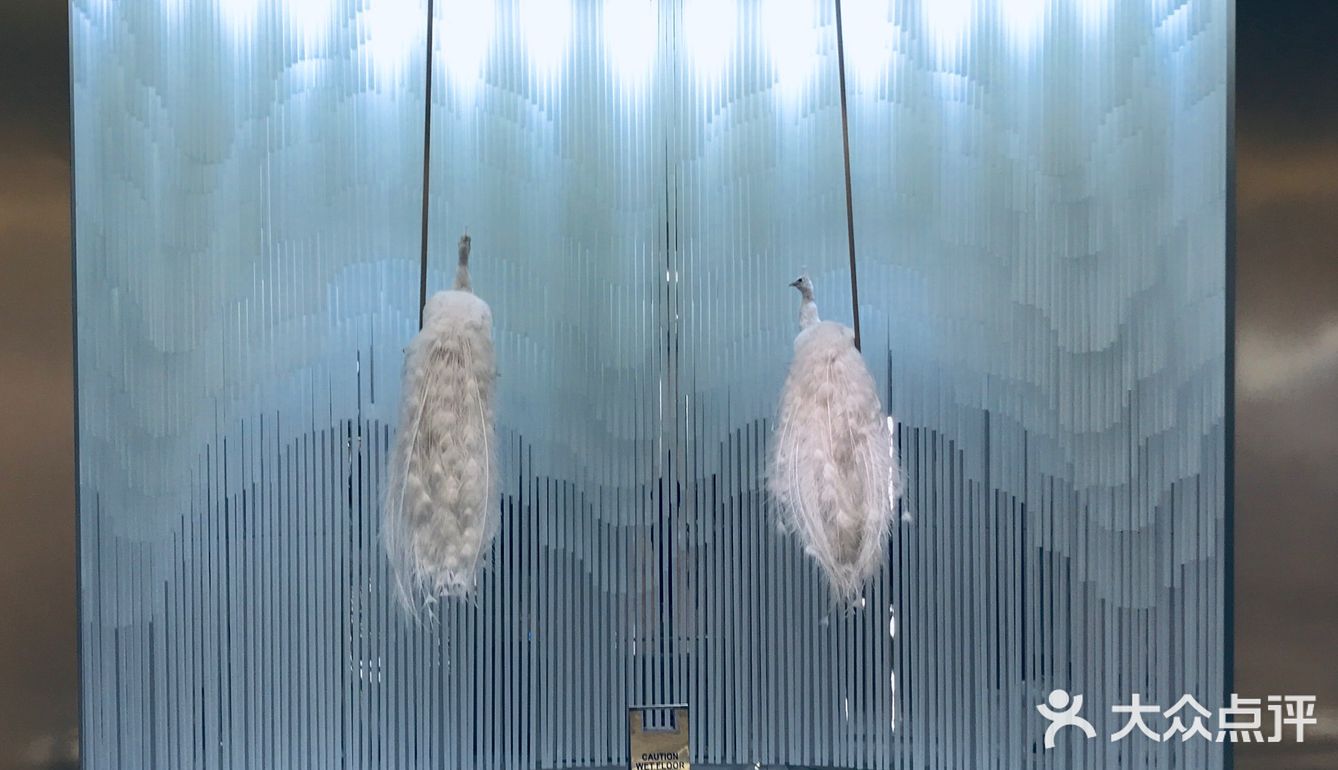 孔雀｜拥有tiffany蓝的川菜馆