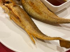 -老吉士酒家(天平路店)