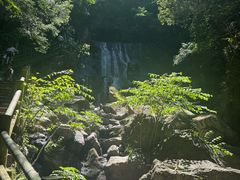 -藏龙百瀑风景区