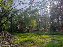 -长春市南湖公园