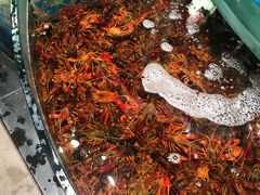 -AEON永旺(东方宝泰店)