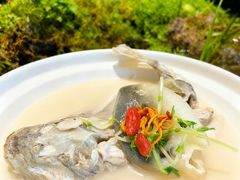 -肆月河豚·淮扬菜·湘菜(华天店)