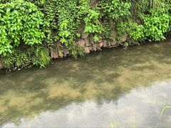 -黄牛肉馆·皖南土菜