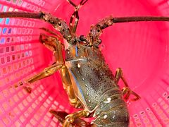 -双月饭店·20年老字号(新村店)