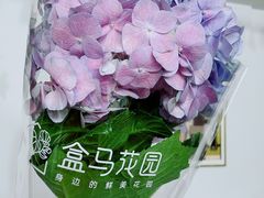 -盒马X会员店(王府井奥莱UP TOWN店)