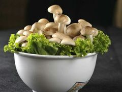 -重庆袁老四火锅(兖州九州新天地店)