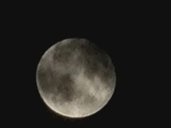 -和牛村烧肉放题(潍坊泰华店)