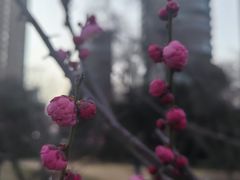 -渭滨公园