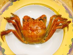 清蒸大闸蟹-王宝和酒家(黄浦店)