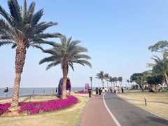 -野狸岛