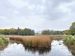 -长广溪湿地公园