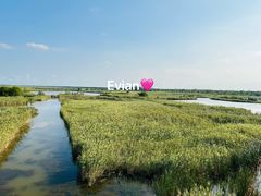 -盐城丹顶鹤湿地生态旅游区