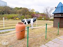 -大宁公园