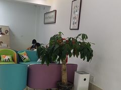 -北京观赏动物医院·24小时大型综合·猫专科·异宠专科