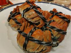 -杨氏青龙虾·羊蝎子(珠江路店)