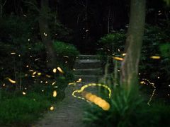 -紫霞湖公园