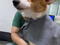 -仁普宠物诊所(住友昌盛新苑店)