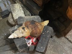 -郑厨私房菜