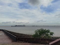 -上海滨江森林公园