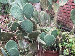 -白鹭湾湿地公园